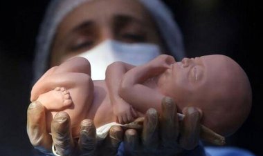 آمار ترسناک سقط در فارس