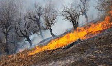آتش سوزی در کوه لار و عنا در شهرستان باشت