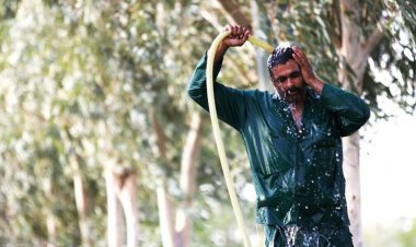شرجی در راه است