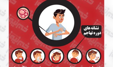 اینفوگرافیک| همه آنچه باید درباره آبله میمونی بدانید