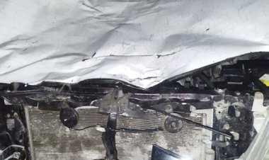 تصادف مرگبار دو خودرو با شتر