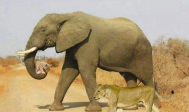 زیباترین عکس جهان...