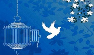 آزادی یک محکوم به قصاص در فارس پس از تحمل ۲۳ سال    