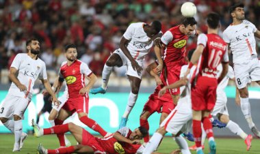 نه گل می‌زنند، نه گل می‌خورند!