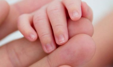 جزئیات همگانی شدن بیمه ناباروری 