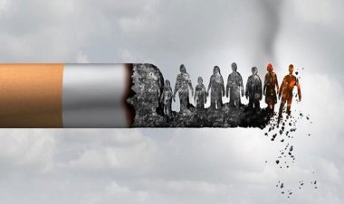 میانگین سن اعتیاد در ایران ۲۴ سال است