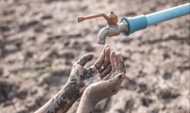 بهشت استان بوشهر خشکید/ آبرسانی به «جم» در پیچ و خم وعده‌ها