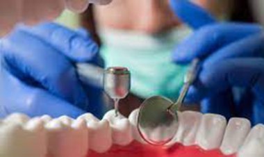 چشم حشرات‏, الگویی برای ساخت دوربین فوق باریک در دندانپزشکی