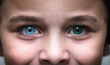 نادرترین رنگ چشم در جهان چیست؟