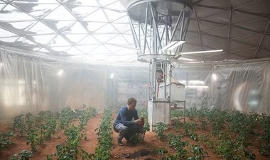 اولین گیاهی که می‌توانیم در مریخ بکاریم