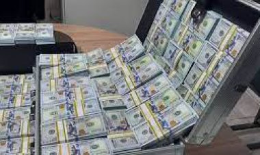 کشف ۱۰ میلیون دلار تقلبی