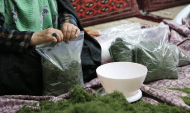 سنگ پیش پای لنگ!