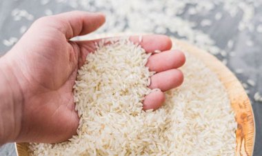 ببینید| ادامه روند کاهش قیمت برنج ایرانی در روز‌های آینده
