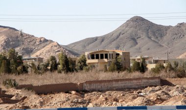 عزم دستگاه قضا در فارس برای حفظ باقیمانده باغ‌های شیراز