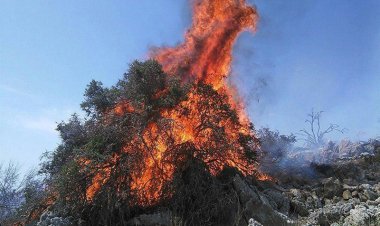 «باد» اجازه مهار حریق مراتع خامی را نمی‌دهد