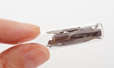 دستاورد دانشمند ایرانی؛ شناسایی ماده‌ای که حافظه‌ای شبیه مغز انسان دارد