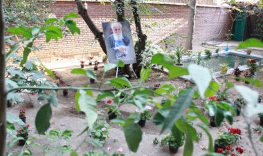 «سایه» به ایران می‌آید    