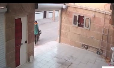 ببینید | سرقت با فرغون در آبادان!