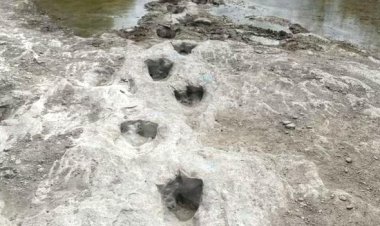 نمایان شدن رد پای ۱۱۳ میلیون ساله!    