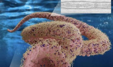 ربات‌های مایع به کمک علم پزشکی می‌آیند