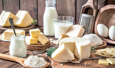 لبنیات در دهان شیر تورم