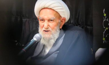 آیت الله ناصری درگذشت