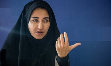 ببینید|  نماینده مجلس: خودروی ملی بیشتر شبیه نکبت ملی است تا محصول ملی!