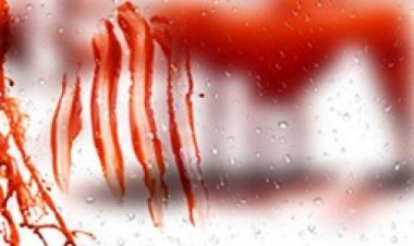 کشف قتل مرد 46 ساله در مرودشت و دستگیری قاتل