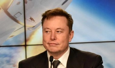 مادر ایلان ماسک: هنگامی که به خانه پسرم می‌روم، مجبورم در گاراژ بخوابم!