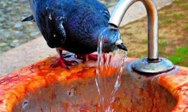 نم ۸۹ درصدی در آبادان و خرمشهر