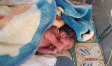 تعداد نوزادان رها شده از سال ۹۹ تا سال ۱۴۰۱ در پایتخت؟