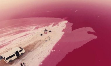 ببینید و لذت ببرید/ نمایی فوق العاده از دریاچه مهارلو شیراز