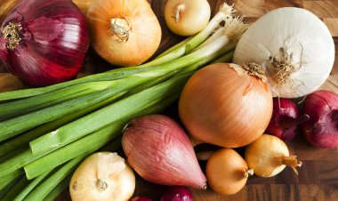ببینید | کاربرد انواع پیاز که نمی‌دانستید