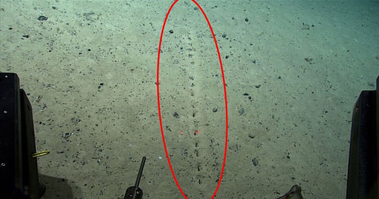 کشف حفره‌هایی عجیب در اقیانوس اطلس
