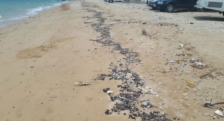پاکسازی ساحل کنگان از آلودگی نفتی آغاز شد