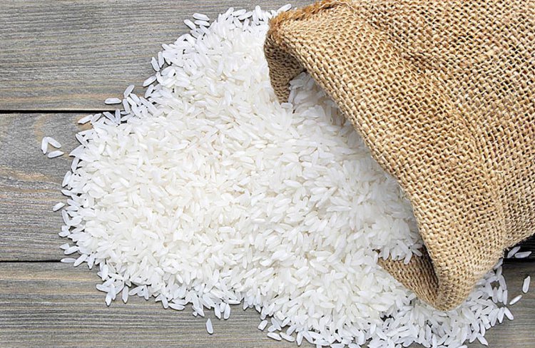 قیمت جدید برنج اعلام شد/ سقوط قیمت‌ها