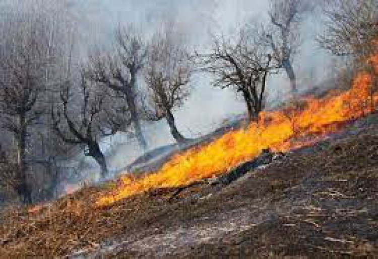 آتش سوزی در کوه لار و عنا در شهرستان باشت