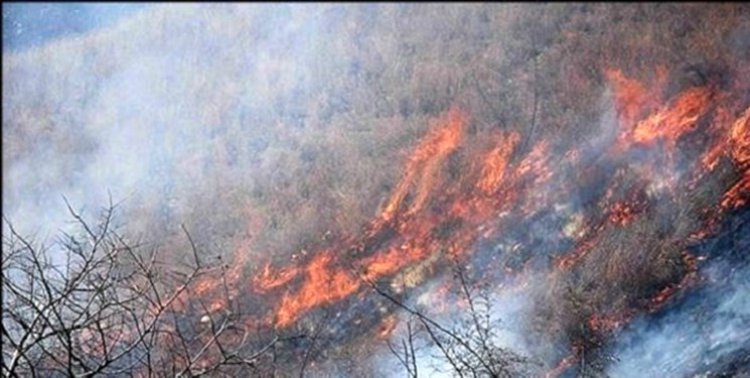 گسترش آتش سوزی در منطقه حفاظت شده کوه خامی باشت