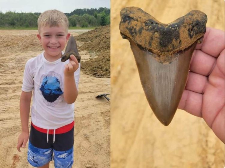 کشف یک فسیل باستانی توسط یک پسر بچه