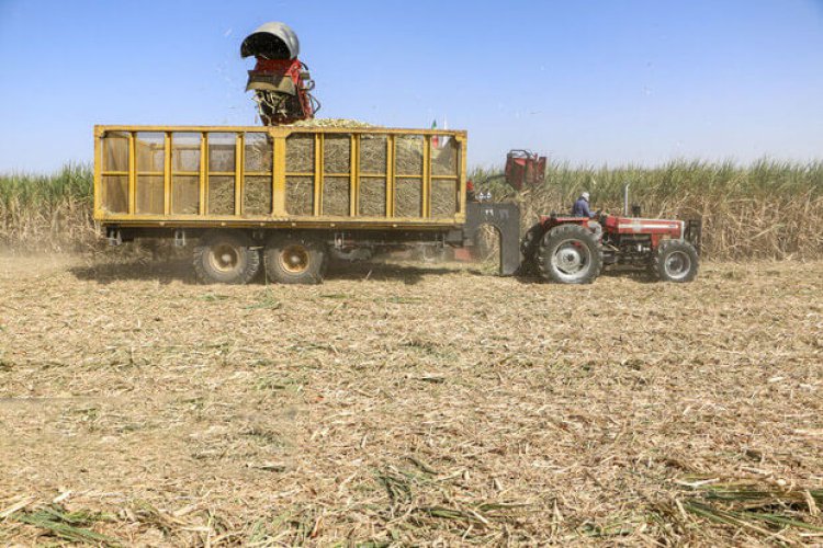 دستگاه «سنگ جمع کن» مزارع نیشکر در خوزستان ساخته شد