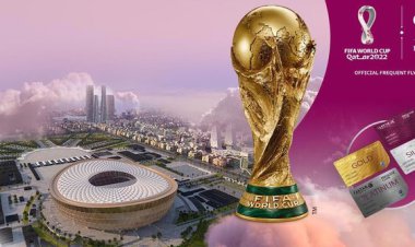 سفر به مقصد فوتبال!