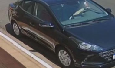 ویدیویی پربازدید از برنامه‌ریزی سگ بی‌خانمان برزیلی برای سرقت غذا!