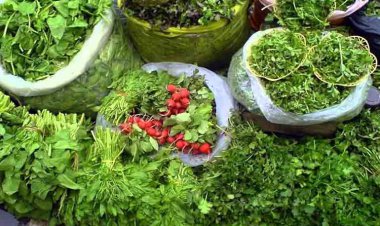 سبزی خشکشده همقیمت گوشت شد؟