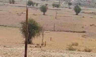 سرقتی عجیب با اره برقی