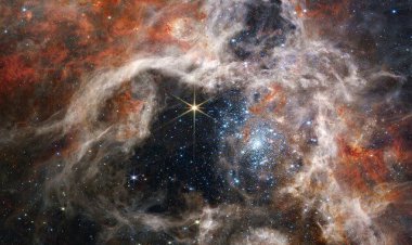 جیمز وب یک رتیل فضایی شکار کرد