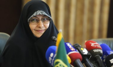 مهاجرت فرزند معاون رئیس جمهور؟