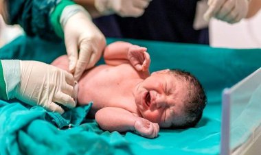 نوزادی که در مسیر زیارت چشم به جهان گشود