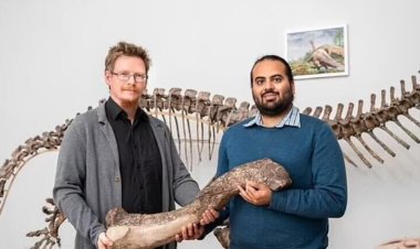 اتفاقی عجیب در آلمان | شناسایی هویت یک دایناسور مرموز پس از ۱۰۰ سال!