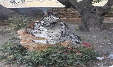 صحنه ای غم انگیز از آتش زدن تنه یک درخت در آبشار یاسوج