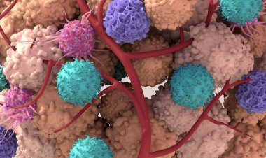 کلید خفه کردن سرطان کشف شد؟